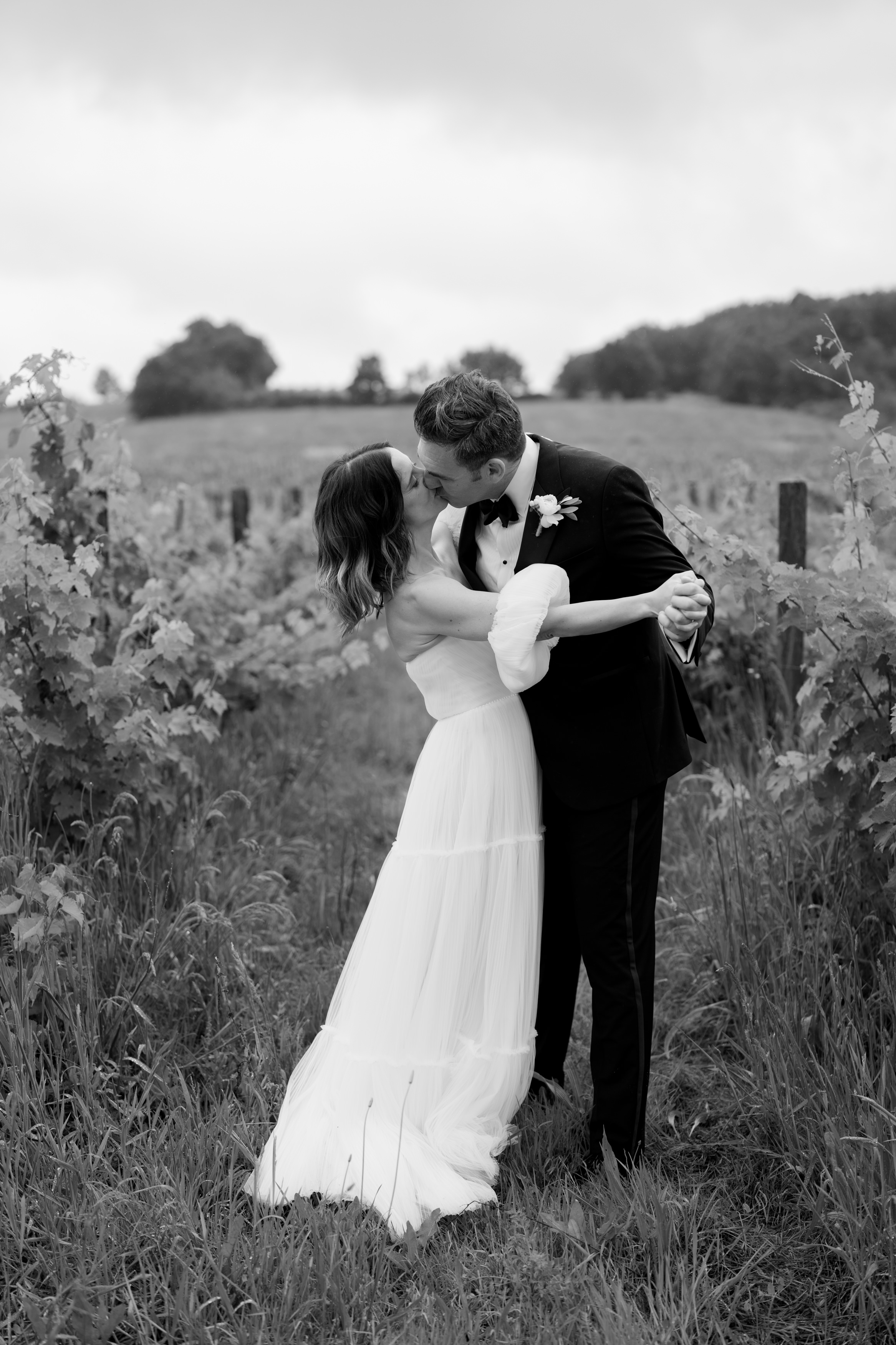 A couple in fancy clothes is kissing in a vineyard. The woman is wearing a white dress, and the man has on a black suit. They're surrounded by grapevines, and the sky above looks cloudy.