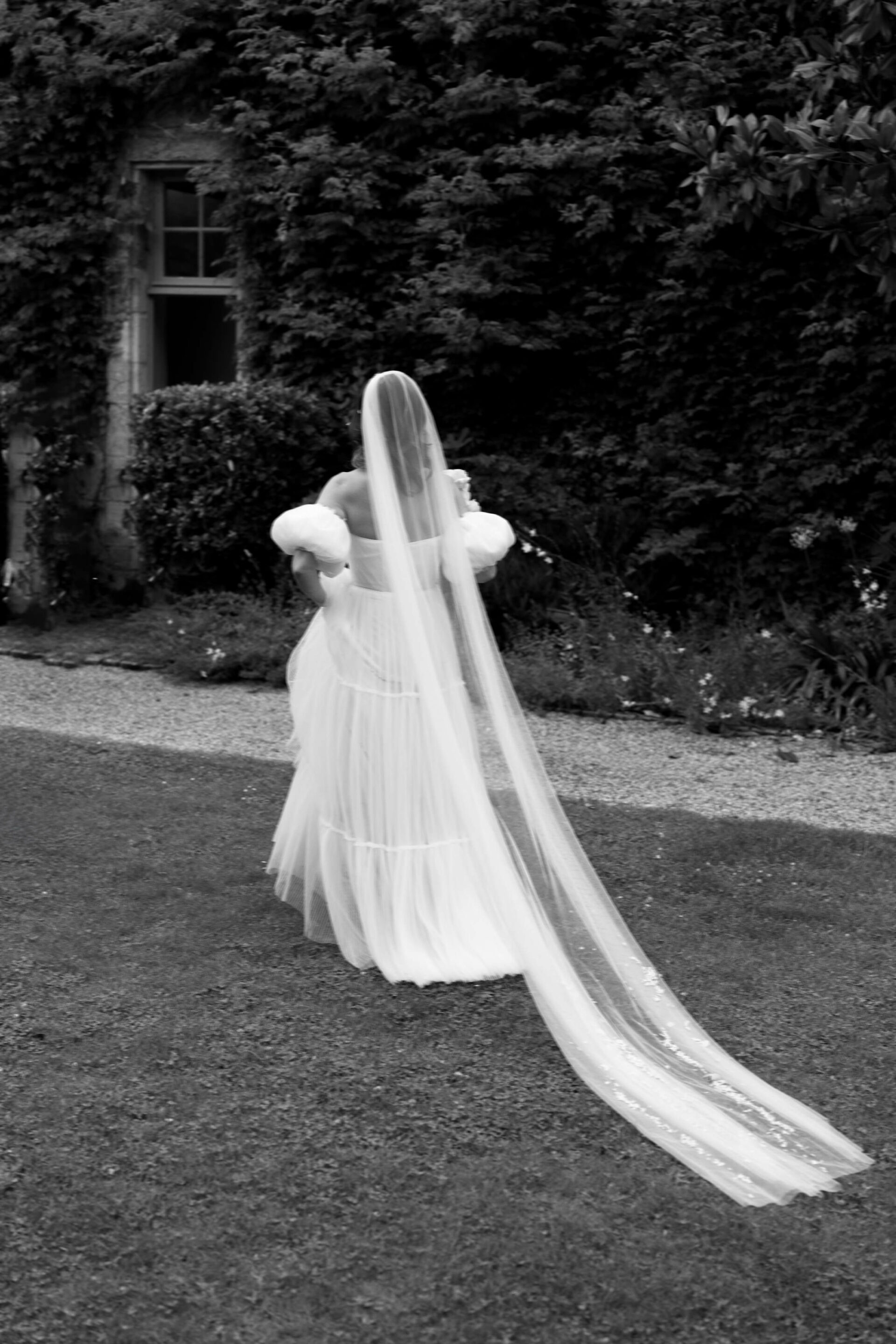 A bride in a long veil and an off-the-shoulder dress is walking on the grass, with lots of plants around her and a wall covered in ivy.